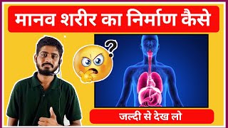 मानव शरीर का निर्माण कैसे होता है  Human body kaise banta hai  Human body fact Biology By Bioaman [upl. by Yezdnil87]