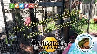 The Ultimate Outdoor Lizard Enclosures [upl. by Arabeila]