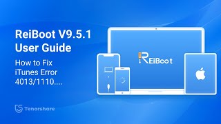 Tenorshare Reiboot iOS 18 Guide How to Fix iTunes Error 40131100 [upl. by Arihas912]