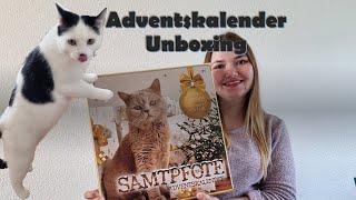 Wir testen einen Katzen Adventskalender  Lohnt sich das [upl. by Matthew]