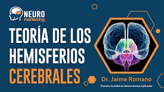 Parte 4 MODELO DE LOS HEMISFERIOS CEREBRALES [upl. by Inattyrb198]