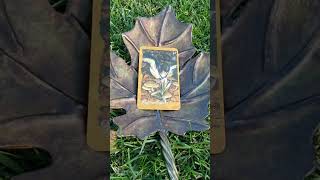 The Faeries Oracle Card 58 Ffaff The Ffooter By Brian Froud  Grounding fairy fairies oracle [upl. by Seleta]