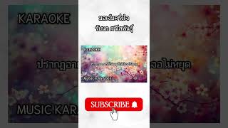 ขอเจ็บครึ่งใจ  รัชนก ศรีโลพันธุ์ VKARAOKE I MUSIC KARAOKE [upl. by Manvel]