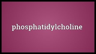 Phosphatidylcholine Meaning [upl. by Eisnil482]