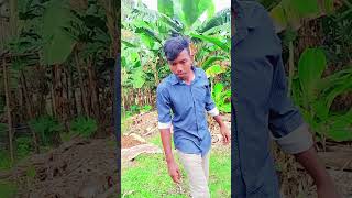 মাসি কামটা করলো কি 🤣🪰🦟 shortvideo funnyvideo tiktokvideo [upl. by Lester]