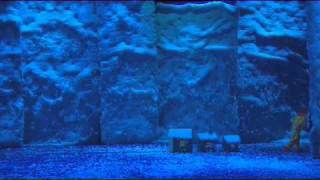 Slavas SnowShow version courte [upl. by Yarahs]