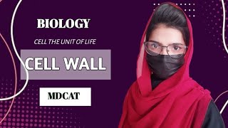 cell wall  cell wall structure and function  cell wall mdcat lecture  cell wall neet  cellwall [upl. by Acimahs]