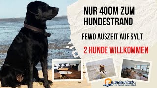 FeWo Auszeit nur 400m zum Hundestrand auf Sylt [upl. by Spain]