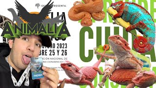 Animalia 2023 la expo más grande de Latinoamérica [upl. by Crispas]