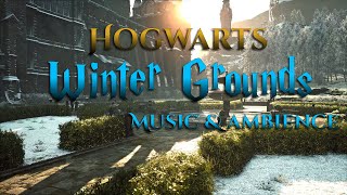 Hogwarts Grounds in Winter Music amp Cinematic Ambience  Hogwarts Legacy [upl. by Hiamerej]