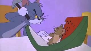 Tom and Jerry Cartoon The Tom and Jerry Cartoon Kitmp4 [upl. by Trueman711]