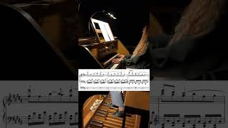 MARCEL DUPRE  Prelude and Fugue in B major op 7 no 1 music organist organ музыка орган [upl. by Sicular]