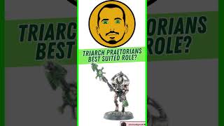 The Ingame Role of Necron Triarch Praetorians [upl. by Nauwtna]