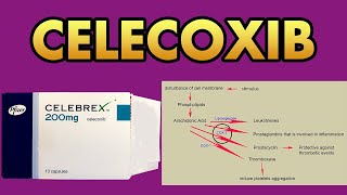 Celecoxib 200 mg Capsule Celebrex [upl. by Winny456]