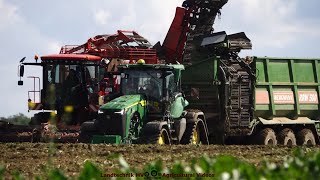 Holmer  John Deere  Bergmann  Rübenernte  Harvesting Beets [upl. by Defant]