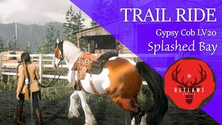 RDR2 Horse Trail  Gypsy Cob Splashed Bay  Celtic Music  IRL Horse at end [upl. by Lemyt]