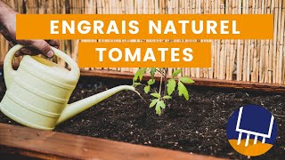 Top 3 des engrais naturels pour vos tomates [upl. by Drucy777]