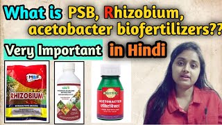 What are different types of biofertilizers  PSB Rhizobia Acetobacter  by biolearning academy [upl. by Alfeus]