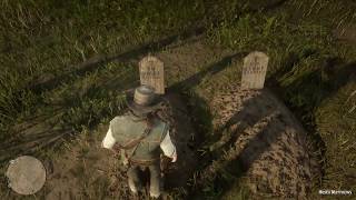 Red Dead Redemption 2  Lenny amp Hosea Grave Locations [upl. by Diena]