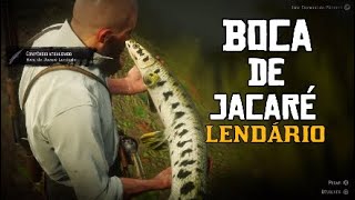 BOCA DE JACARÉ LENDÁRIO LOCALIZAÇÃO RDR2 Legendary Longnose Gar location rdr2 [upl. by Linkoski]