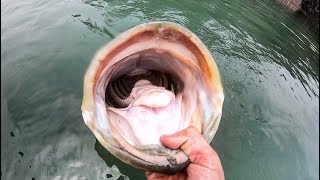 18 POUND BASS in CLEAR WATER [upl. by Inavoj]