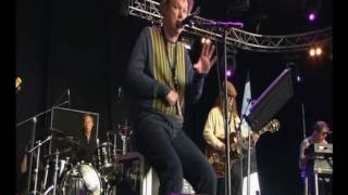 Edwyn Collins  Falling And Laughing Berlin Festival 11092010 [upl. by Aerdnaz169]