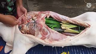 How to cook Lechon baboy step by step Step 3 Pagtitimpla at pagtatahi ng lechon [upl. by Arrais]