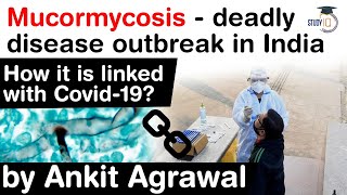 Mucormycosis deadly disease outbreak in India  How it is linked with Covid 19 UPSC IAS [upl. by Margarita46]