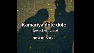 KAMARIYA DOLE DOLE SLOWEDREVERB BHOJPURI SONG [upl. by Trub483]