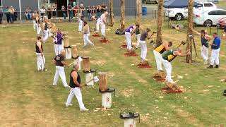 Woodchopping Final 2 Man Combination Handicap Deloraine Show 251123 amandabeams3354 [upl. by Pussej]