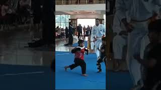 Silat fight [upl. by Oruam]