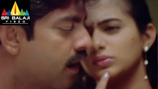 Pellaina Kothalo Songs  Chelivo Video Song  Jagapathi Babu Priyamani  Sri Balaji Video [upl. by Emil694]