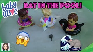 Baby Alives Find Rat In The Pool [upl. by Ydnab]