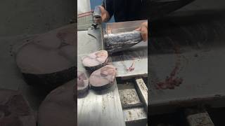 Frozen fish slice cutting skills and cutters machine tunafish cutshorts [upl. by Amles]