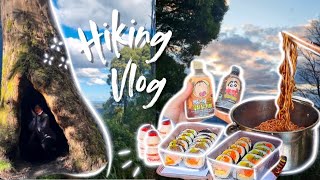 unimelb students touch grass  hiking vlog  dandenong ranges 🌻 [upl. by Georgy963]