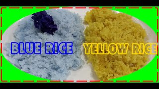 HOW TO MAKE BLUE TERNATETURMERIC RICE WHICH IS BETTER [upl. by Rosalynd]