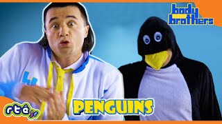 Body Brothers  The Penguin Song and Dance 🐧 🎵  RTÉjr [upl. by Callahan]