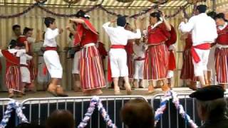 Bailinho da Madeira  Flores da Madeira [upl. by Amikahs362]