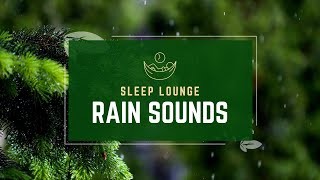 20 Minutes of Soothing Rain Sounds for Deep Sleep and Relaxation 🌧️🛌 [upl. by Ididn962]