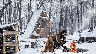 BRAVING A WINTER SNOWSTORM at the Cabin with my Dog [upl. by Tore452]