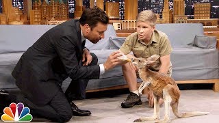 Robert Irwin and Jimmy Feed a Baby Kangaroo [upl. by Ateuqahs757]