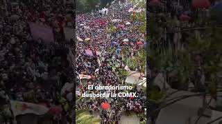 El obradorismo desborda la CDMX [upl. by Stockmon216]