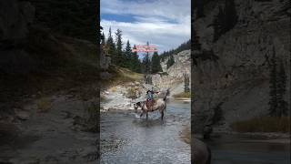 Crossing Rivers and Valleys on Horseback  Outdoor adventures [upl. by Eivlys]