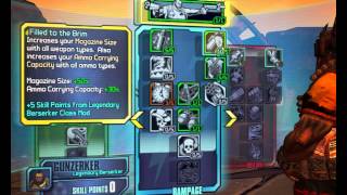 Borderlands 2 Gunzerker level 50 Build  Solo Terramorphous gameplay [upl. by Ennaid]