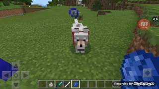 Hundehalsband färben  Minecraft [upl. by Gitel]