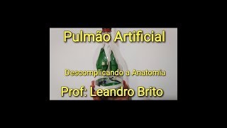 Experiência  Como fazer um Pulmão Artificial [upl. by Raamal211]