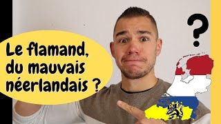 Le flamand du mauvais néerlandais  Questce que le FLAMAND  Apprendre le flamand comment [upl. by Esimaj]