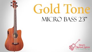 Gold Tone Micro bass 23quot הדגמת [upl. by Amaty]