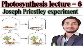 Photosynthesis lecture 6  Joseph Priestley Experiment [upl. by Lebanna]