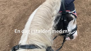 En dag i stalden med mig [upl. by Nnayelsel]